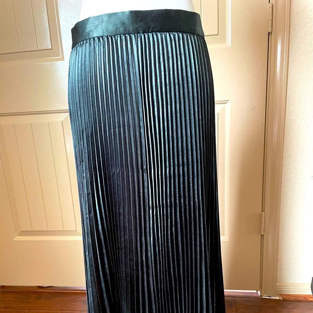 Long pleated skirt